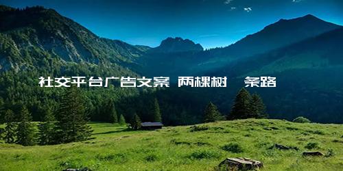 社交平台广告文案 两棵树一条路